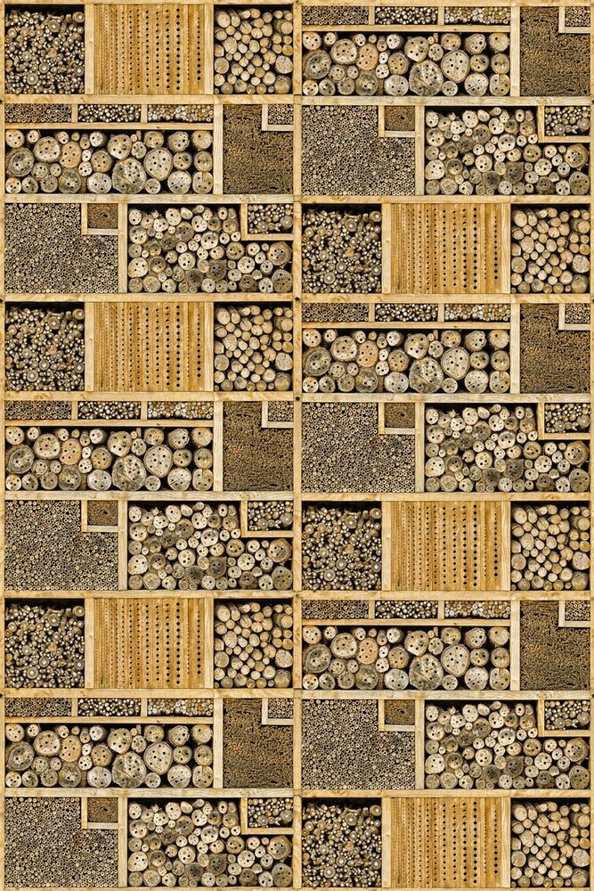 Behangexpresse Wallpaper Queen Materials Fotobehang ML272-saving nature