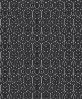   zwart zilver soft diamond dust escher effect grafisch by edward van vliet