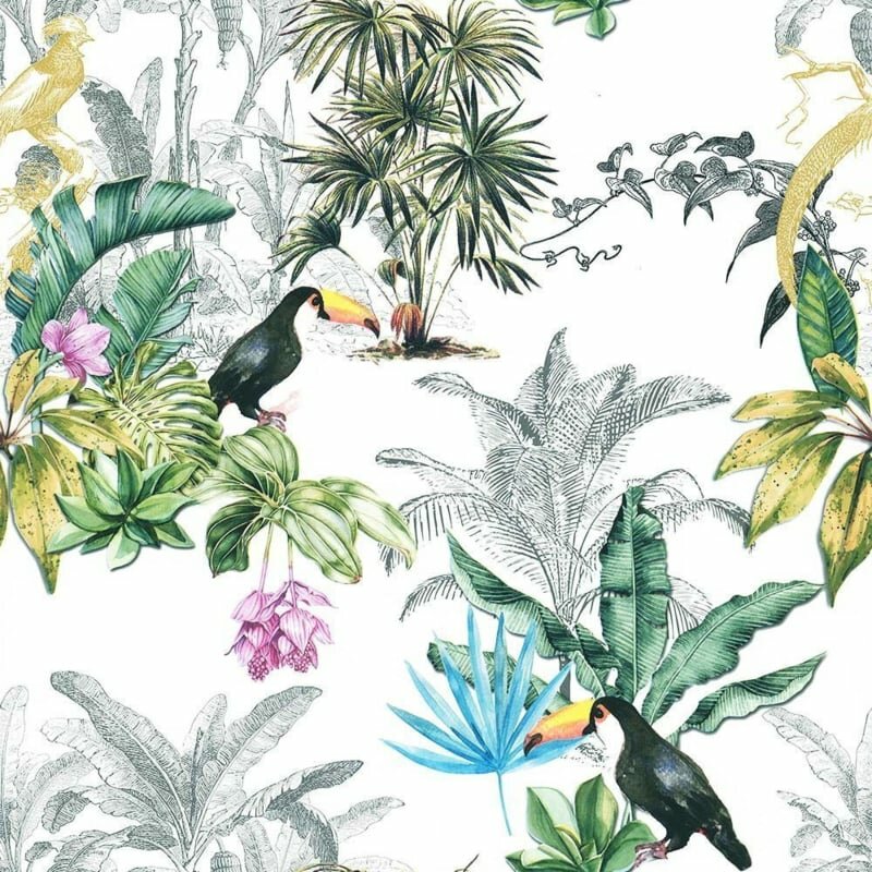  les  toucans  vinyl op vlies 