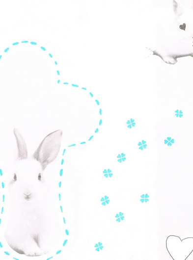 Onszelf Bambi OZ30231. my little rabbit  vlies