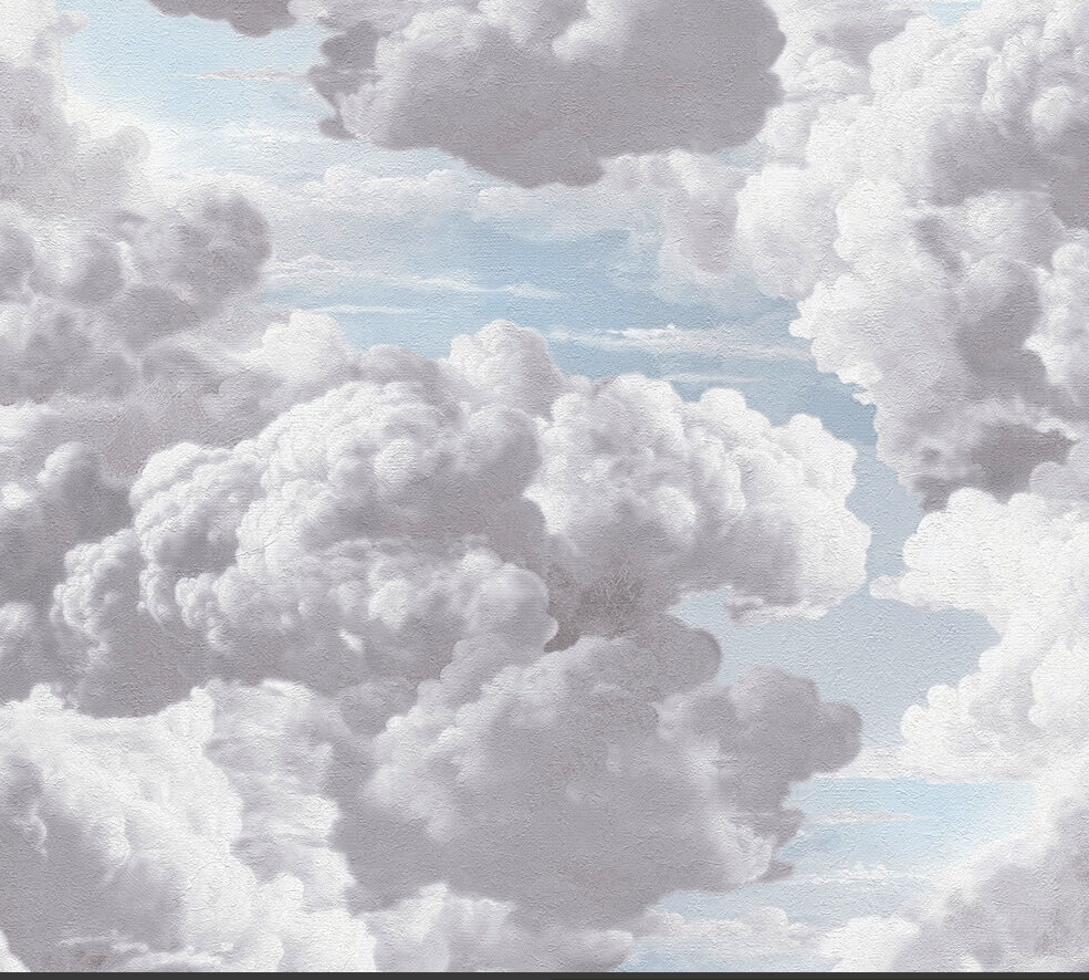 VATICAN  SKIES DREAM CLOUDS vlies  dubbelbreed 1.06 meter vlies