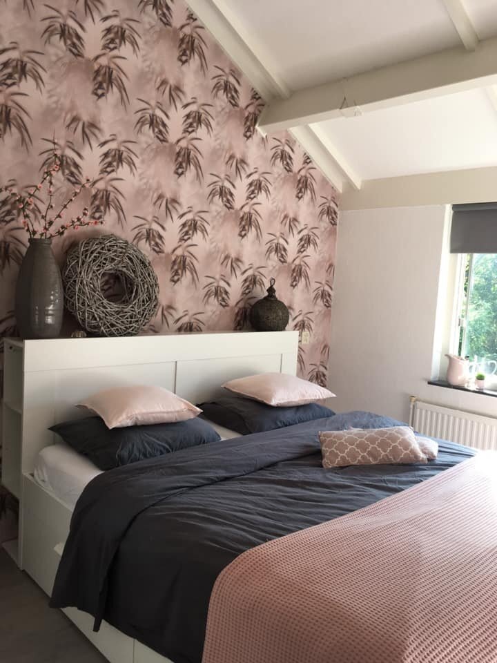 Edward  van Vliet Dimensions 219546 morning mist pink1