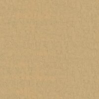 BN Wallcoverings Van Gogh 3  220082