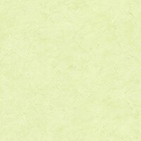 lace zilver off white  behang papier