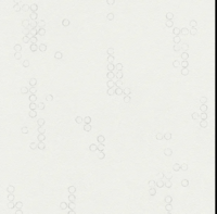 AS Creation 111 Shades of White 33638-1 / 336381  grafisch vinyl. op vlies