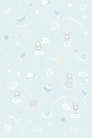 Behangexpresse Puck And Rose Galaxy Fotobehang INK7009