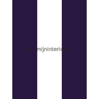 13cm brede streep paars wit  vlies11