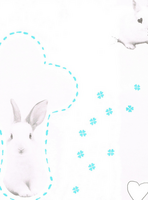 Onszelf Bambi OZ30231. my little rabbit  vlies