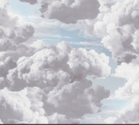 VATICAN  SKIES DREAM CLOUDS vlies  dubbelbreed 1.06 meter vlies