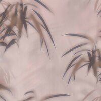 Edward  van Vliet Dimensions 219546 morning mist pink1