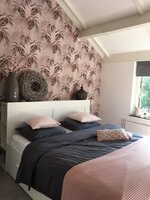 Edward  van Vliet Dimensions 219546 morning mist pink1