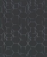 BN Wallcoverings Dimensions 219603 - zwart met wit / grijs by Edward van Vliet1