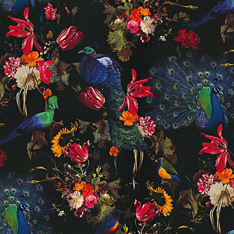 the peacock  from the queens garden  vinyl op vlies 