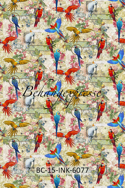 Behangexpresse Color Choc Parroty Fotobehang INK6077