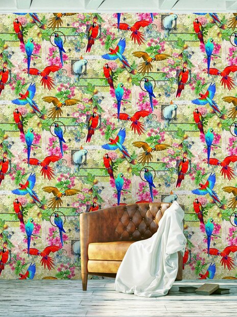 Behangexpresse Color Choc Parroty Fotobehang INK6077