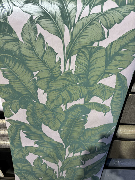 KT Exclusive Amadeus 24868 The Duchess of Mecklenburg1