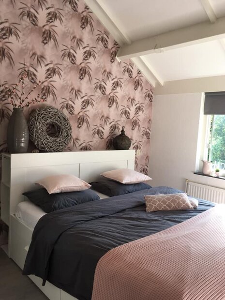 Edward  van Vliet Dimensions 219546 morning mist pink1