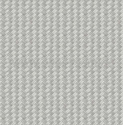 rotan dreams by nina hancock exclusive wallpapers 