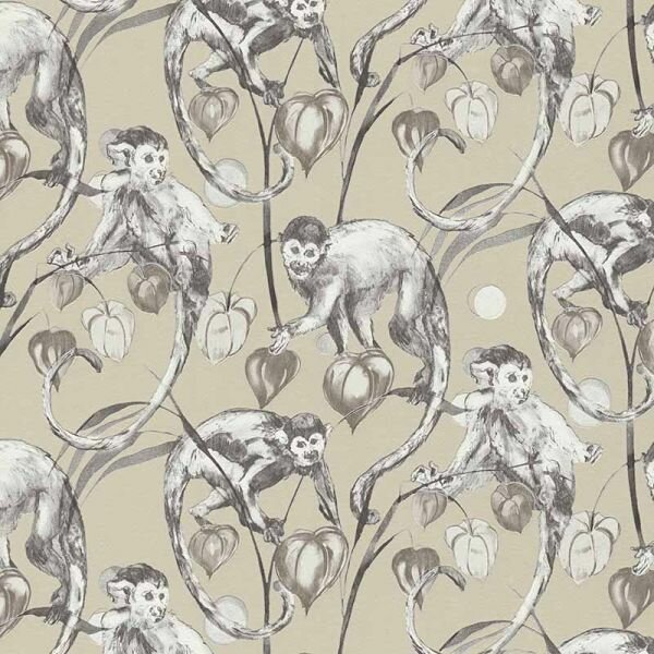 MONKEY BUSINESS1