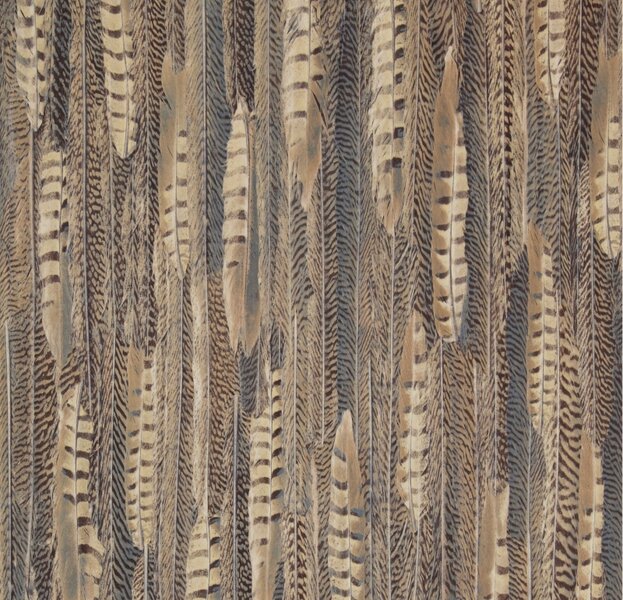 BN Wallcoverings Curious 17960feathers