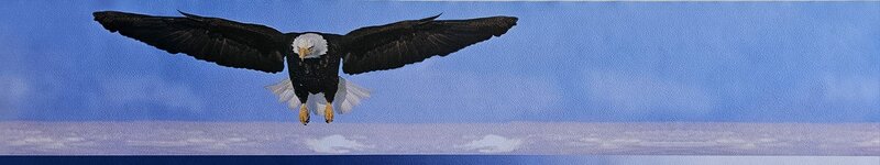 Great Zoo Flying Eagle 569